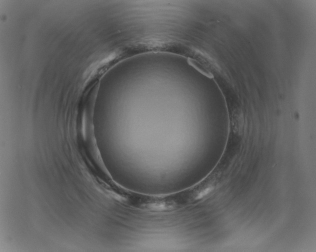 X0000068860740200605121916