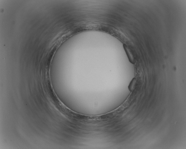 X0000068860744200605121916