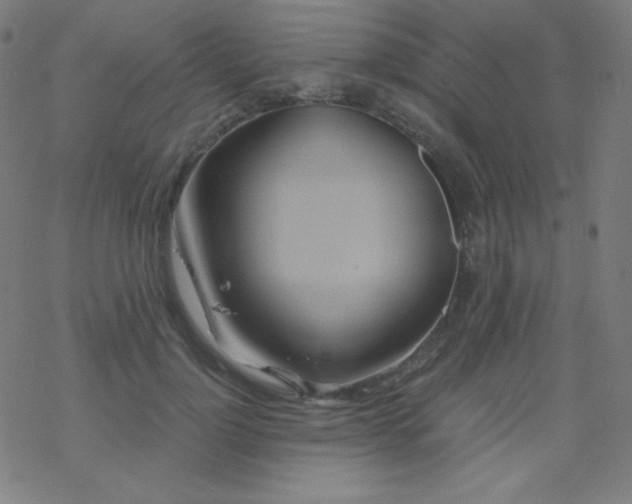 X0000068860748200605121916