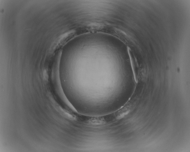 X0000068860756200605121916