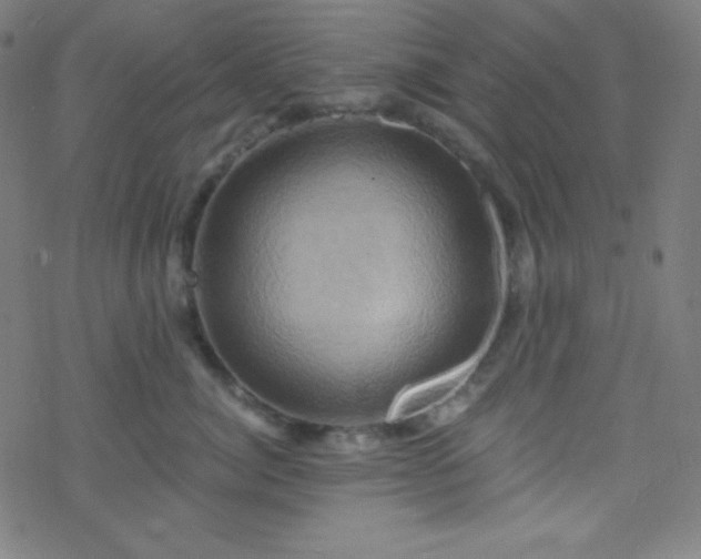 X0000068860764200605121917