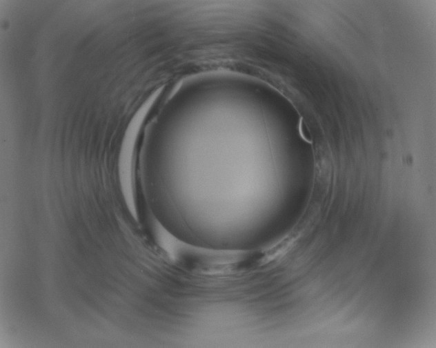 X0000068860767200605121917