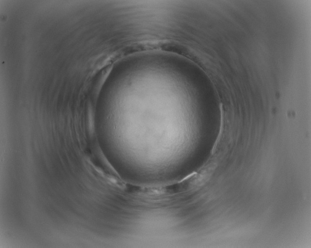 X0000068860768200605121917