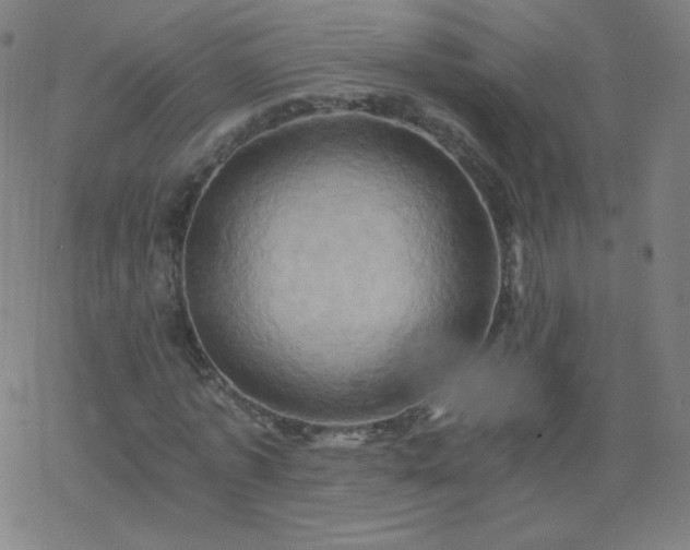X0000068860773200605121916