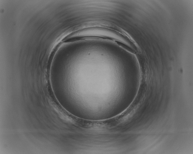 X0000068860786200605121916