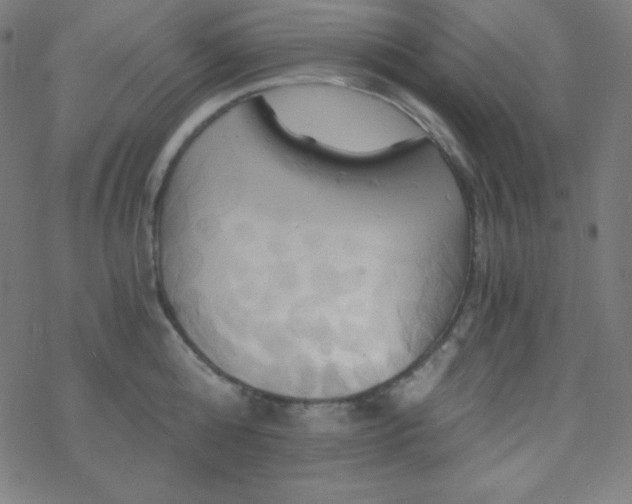 X0000068860808200605121915