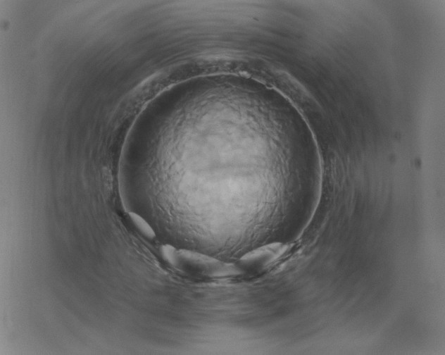 X0000068860821200605121914