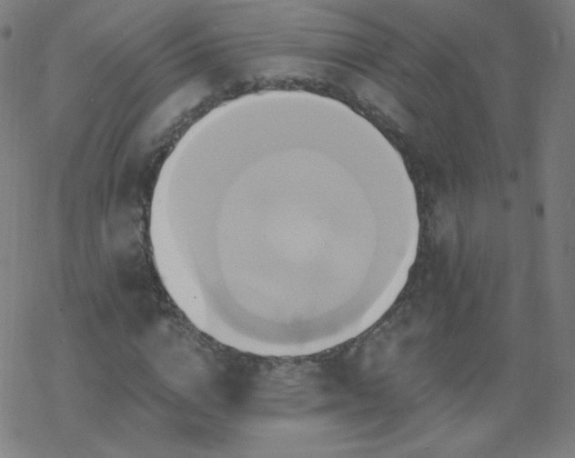 X0000068860824200605121914