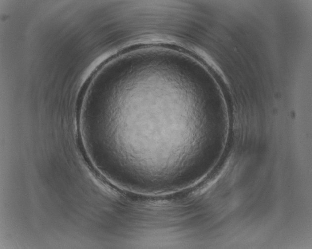 X0000068860837200605121915