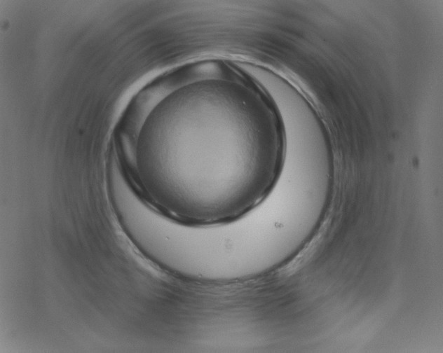 X0000068860854200605121915