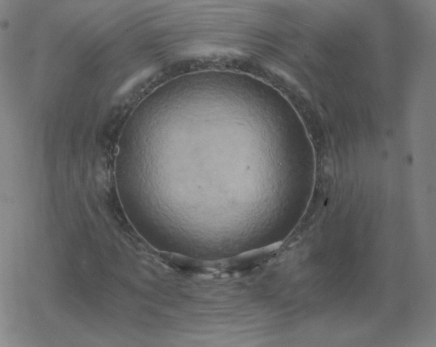 X0000068860869200605121914