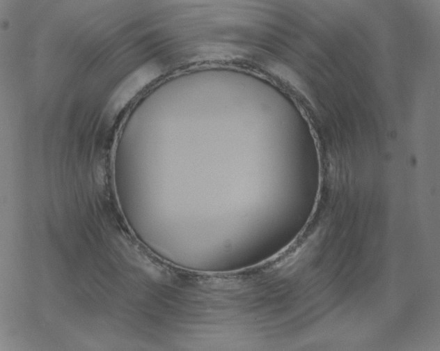 X0000068860874200605121914