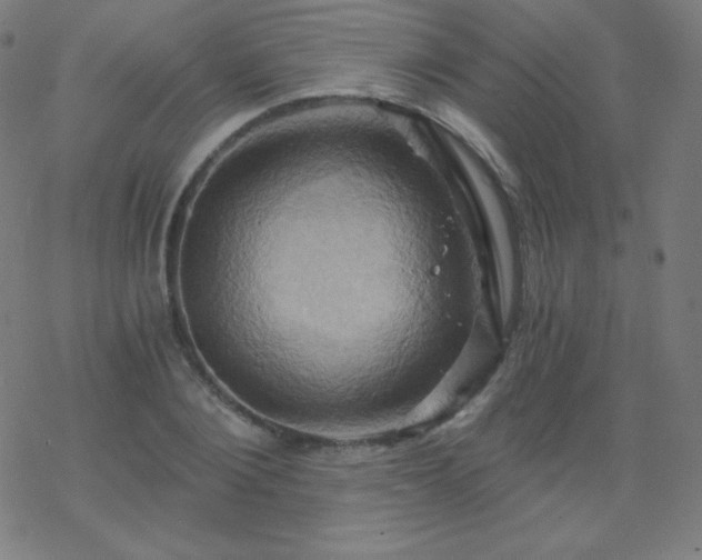 X0000068860884200605121914