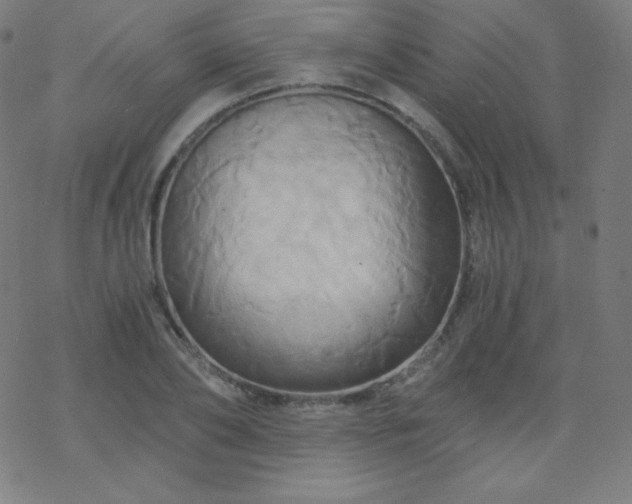 X0000068860886200605121914