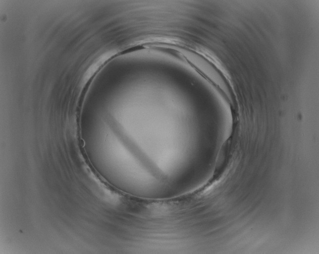 X0000068860898200605121914