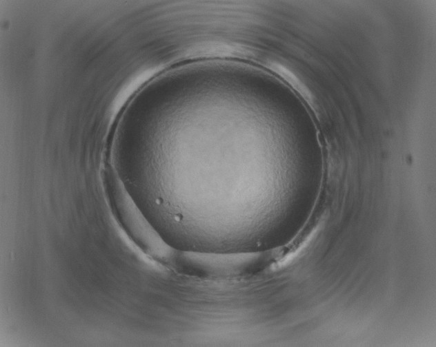 X0000068860901200605121914