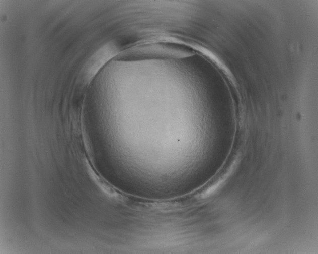 X0000068860905200605121914