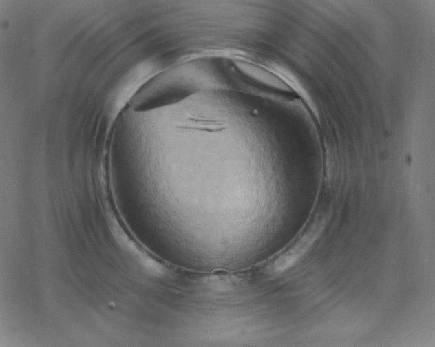 X0000068860906200605121914