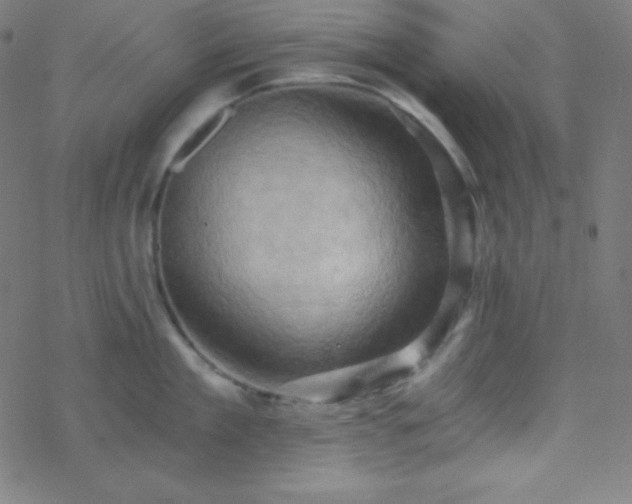 X0000068860909200605121914