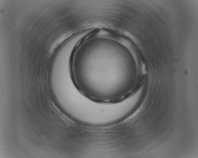 X0000068860922200605121913