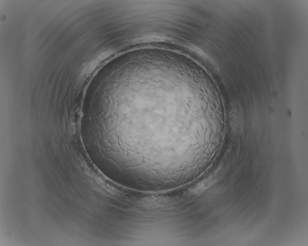 X0000068860929200605121913