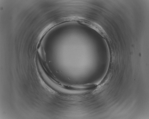 X0000068860946200605121913