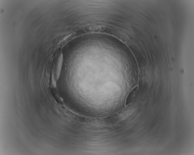 X0000068860962200605121913