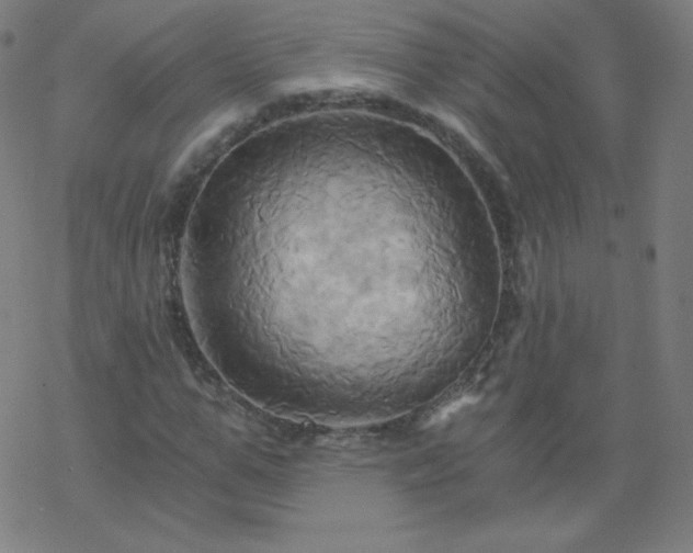 X0000068860967200605121913