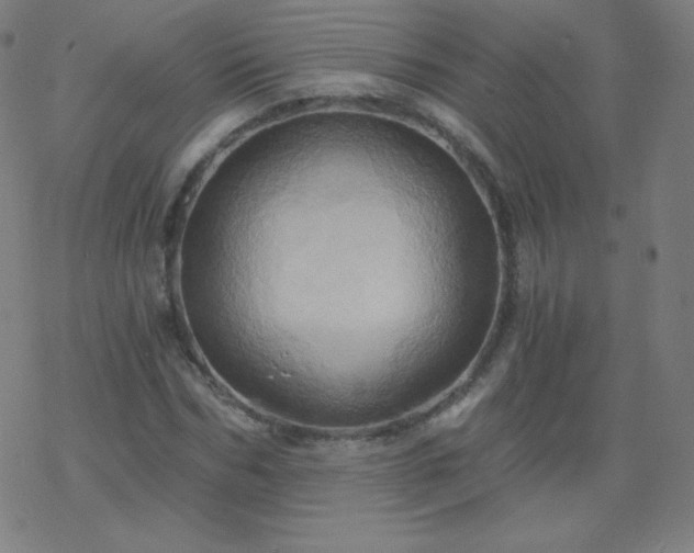 X0000068860970200605121913