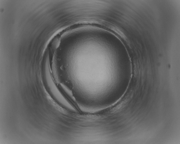 X0000068860984200605121912