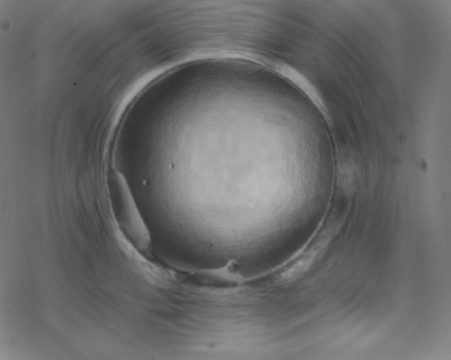 X0000068861004200605121912
