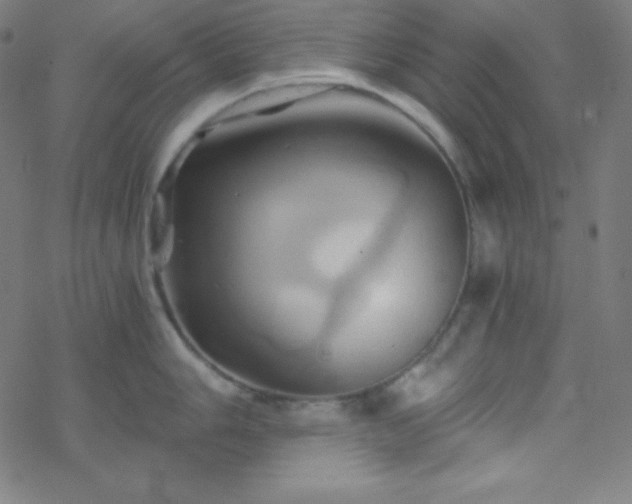 X0000068861006200605121912