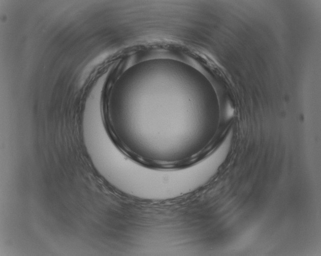 X0000068861016200605121911