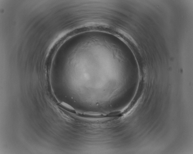 X0000068861021200605121911