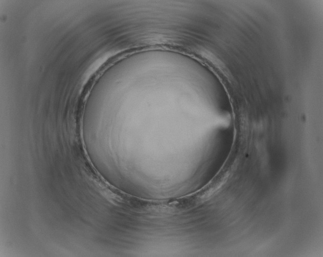 X0000068861023200605121911