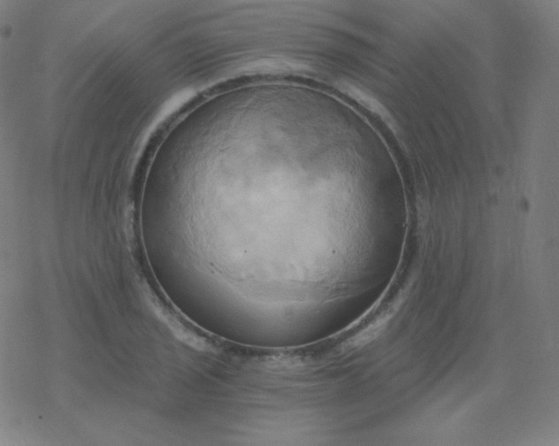 X0000068861029200605121911