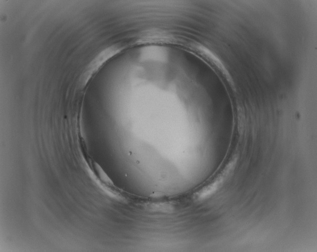 X0000068861041200605121912