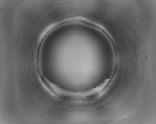 X0000068861054200605121912