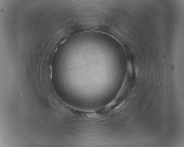 X0000068861057200605121911