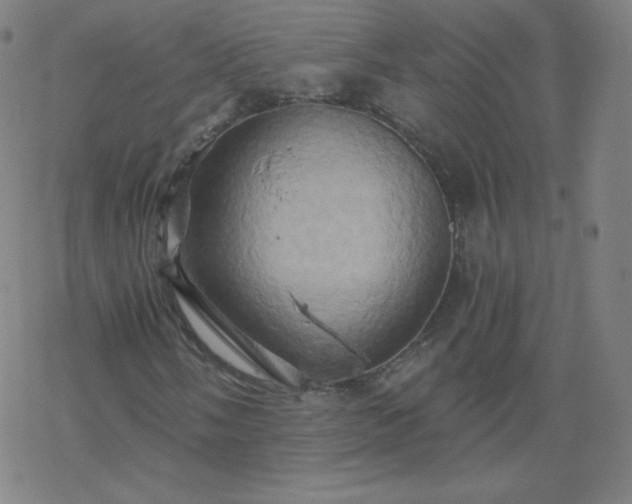 X0000068861058200605121911