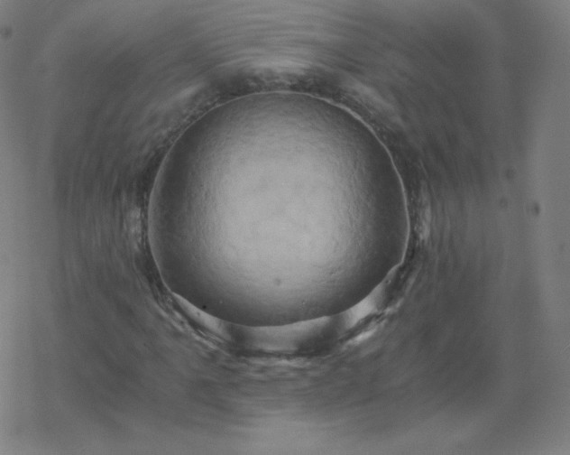 X0000068861061200605121911
