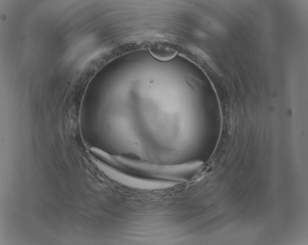X0000068861063200605121911