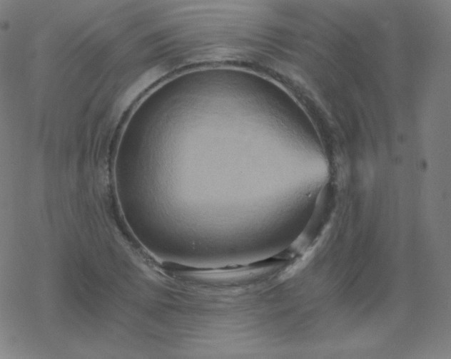 X0000068861073200605121911