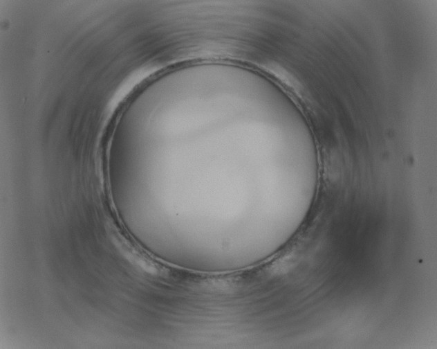 X0000068861078200605121911