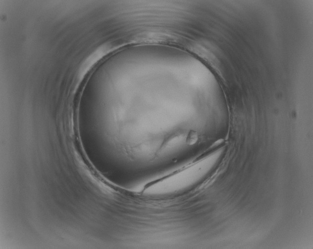 X0000068861083200605121911