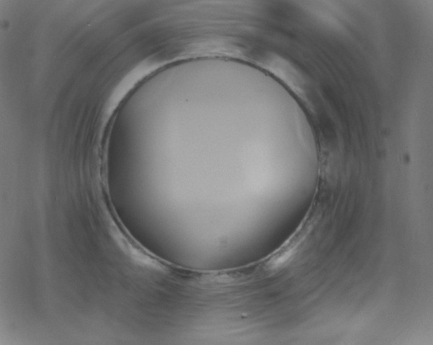 X0000068861094200605121911