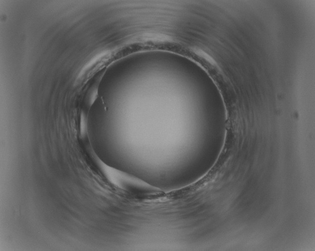 X0000068861112200605121910