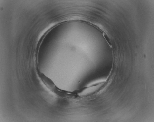X0000068861134200605121910