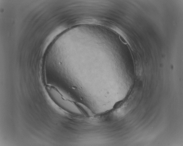 X0000068861139200605121910