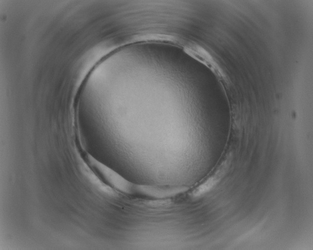 X0000068861140200605121910